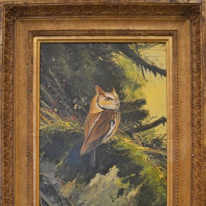 "Eastern Screeching Owl" Original Oil on Canvas by Nicholas Coleman