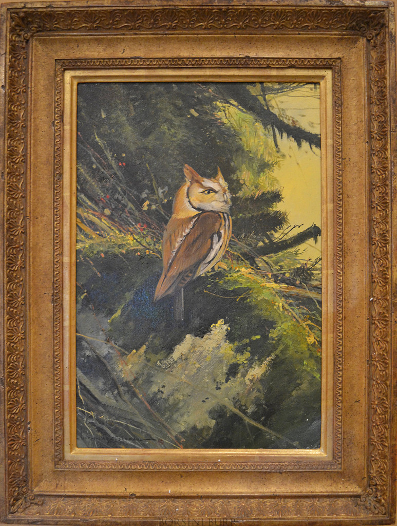 "Eastern Screeching Owl" Original Oil on Canvas by Nicholas Coleman